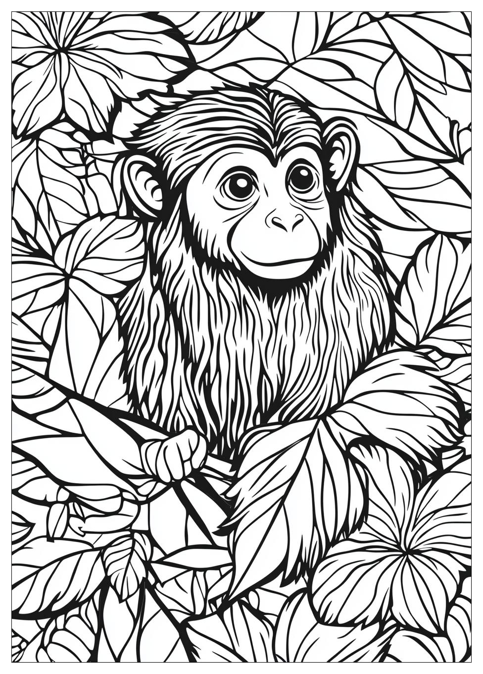 Affe Ausmalbilder 4
