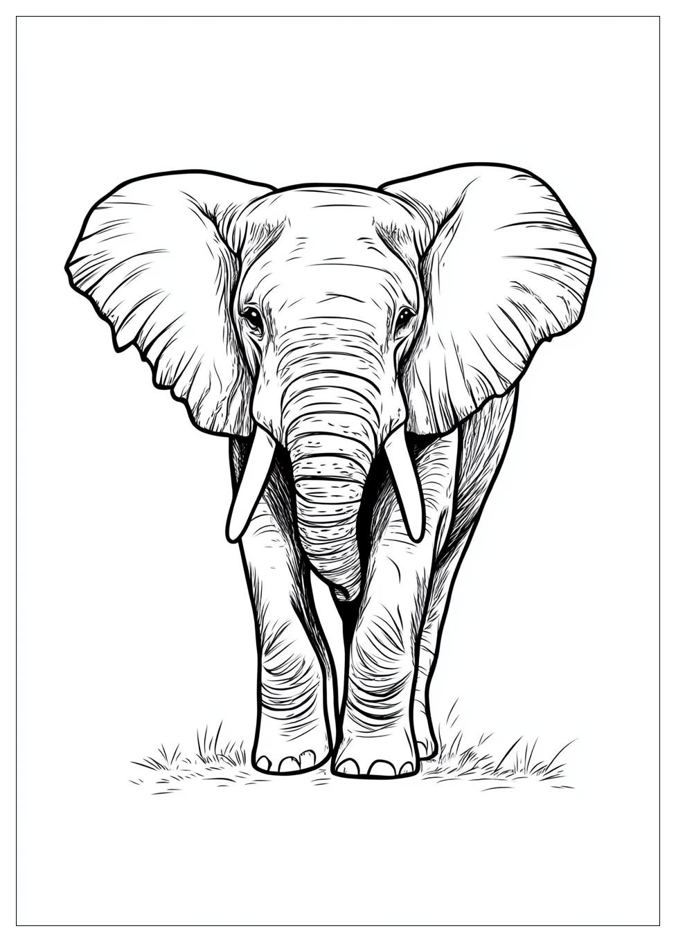 Afrika Tiere Ausmalbilder 12
