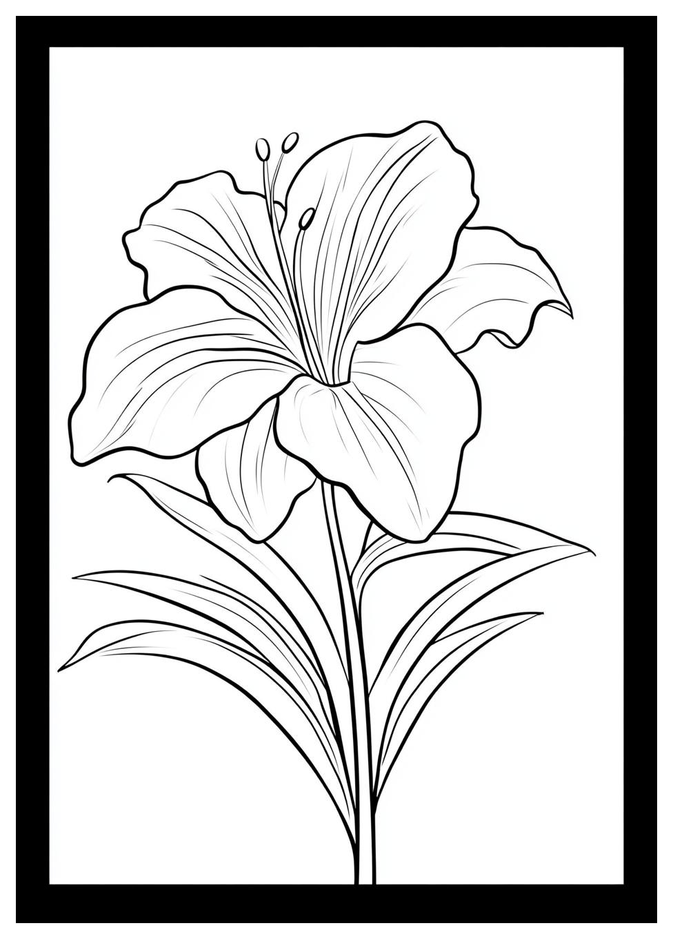 Ausdruck Ausmalbilder 5