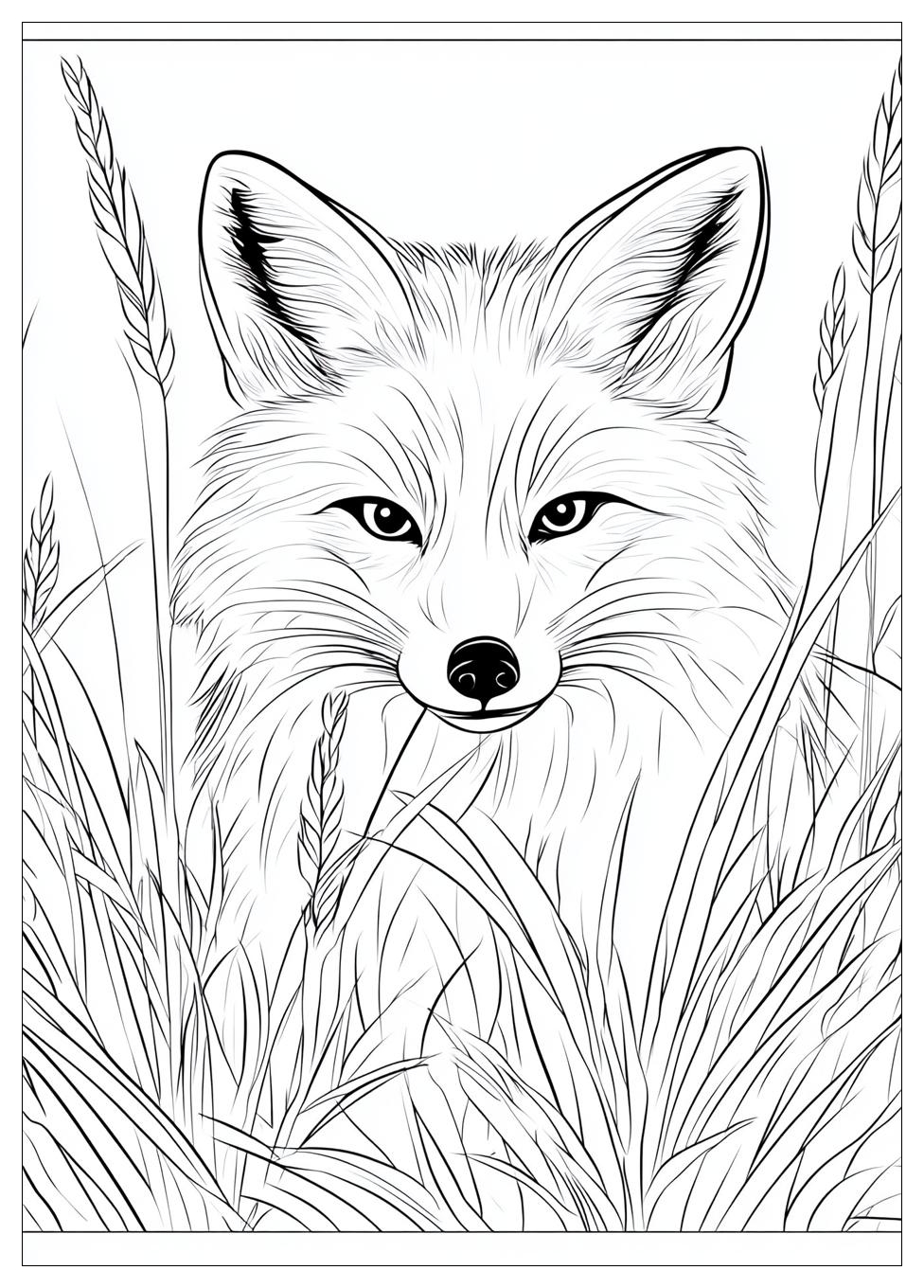 Ausdrucken Fuchs Ausmalbilder 8