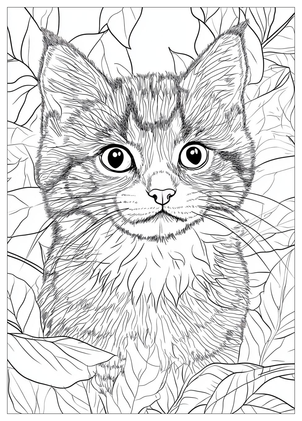 Baby Katzen Ausmalbilder 18