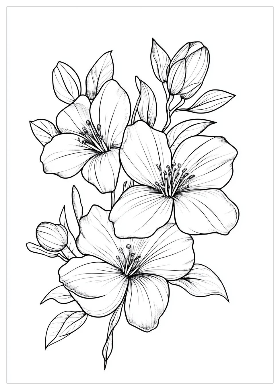Blumenranke Ausmalbilder 11