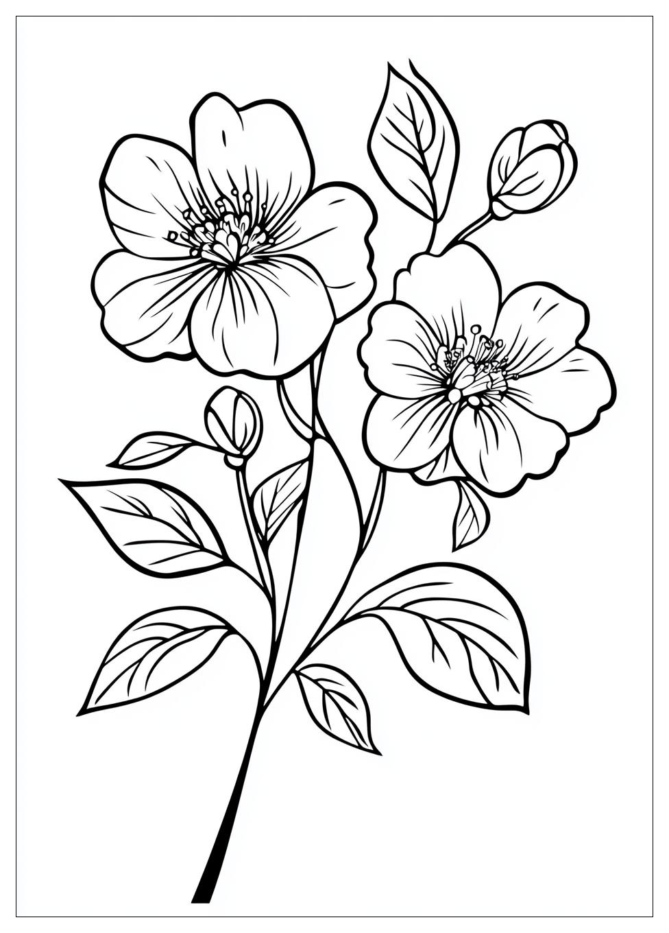 Blumenranke Ausmalbilder 8