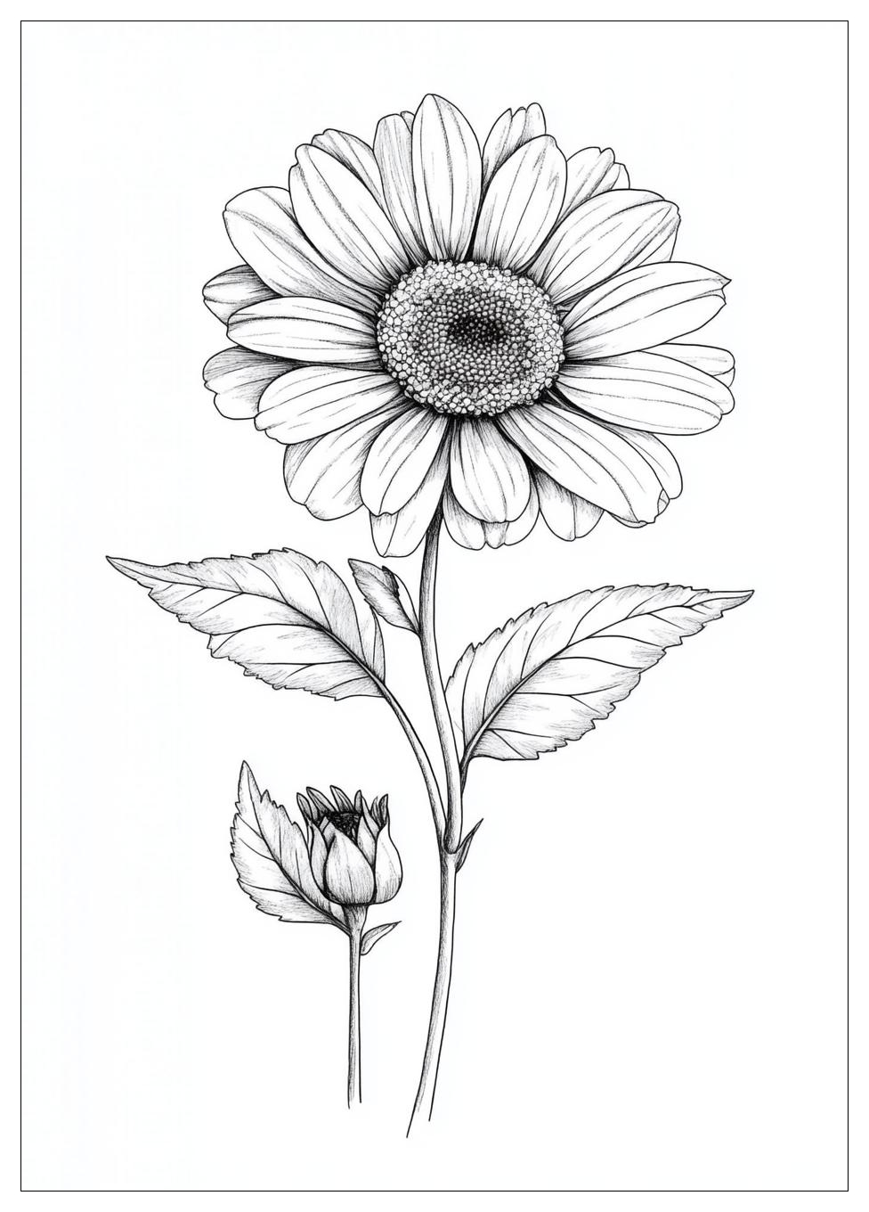 Daisy Ausmalbilder 6