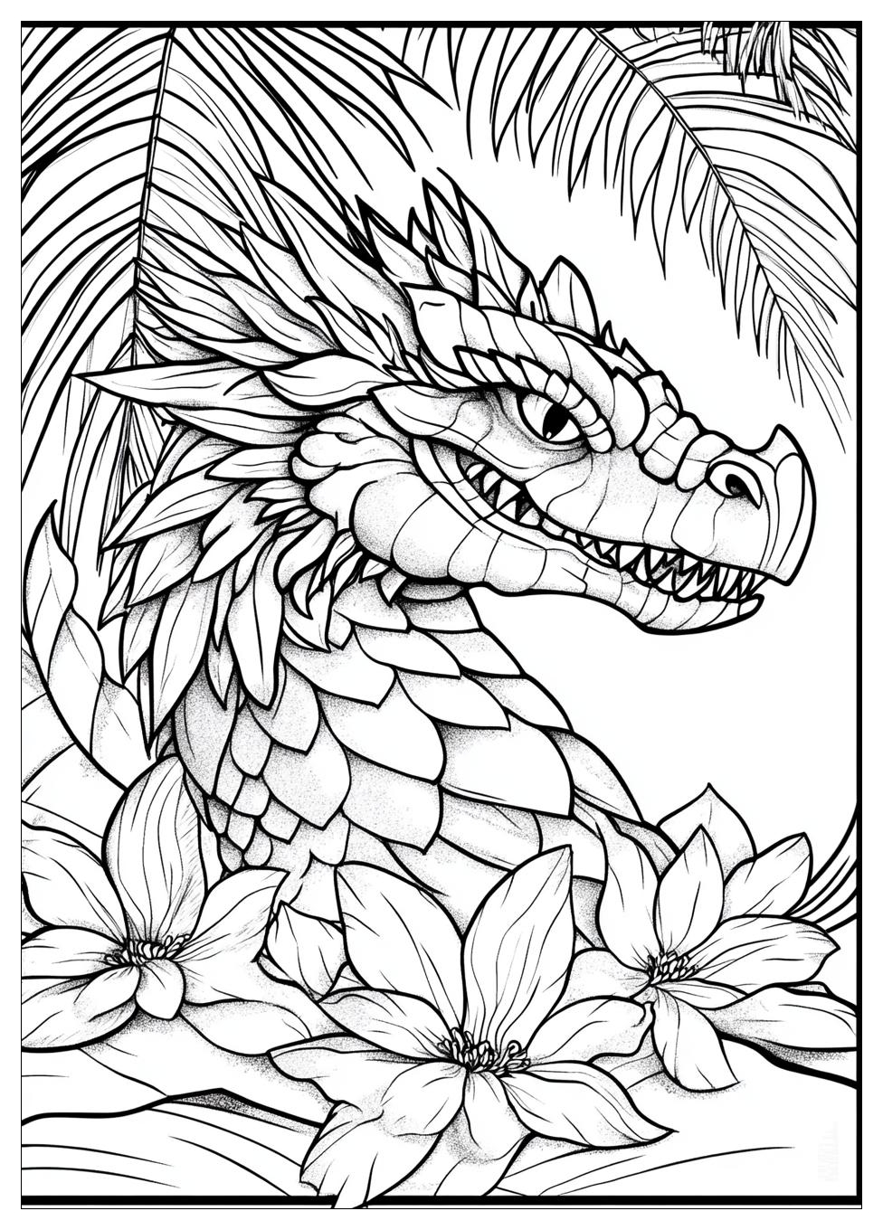 Drache Kokosnuss Ausmalbilder 2