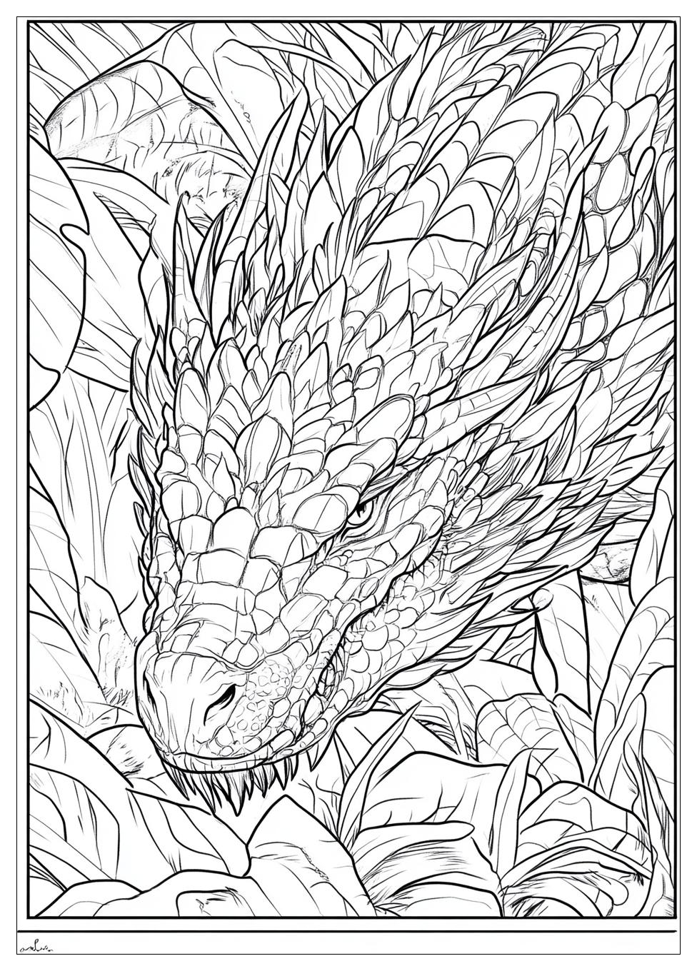 Drache Kokosnuss Ausmalbilder 20