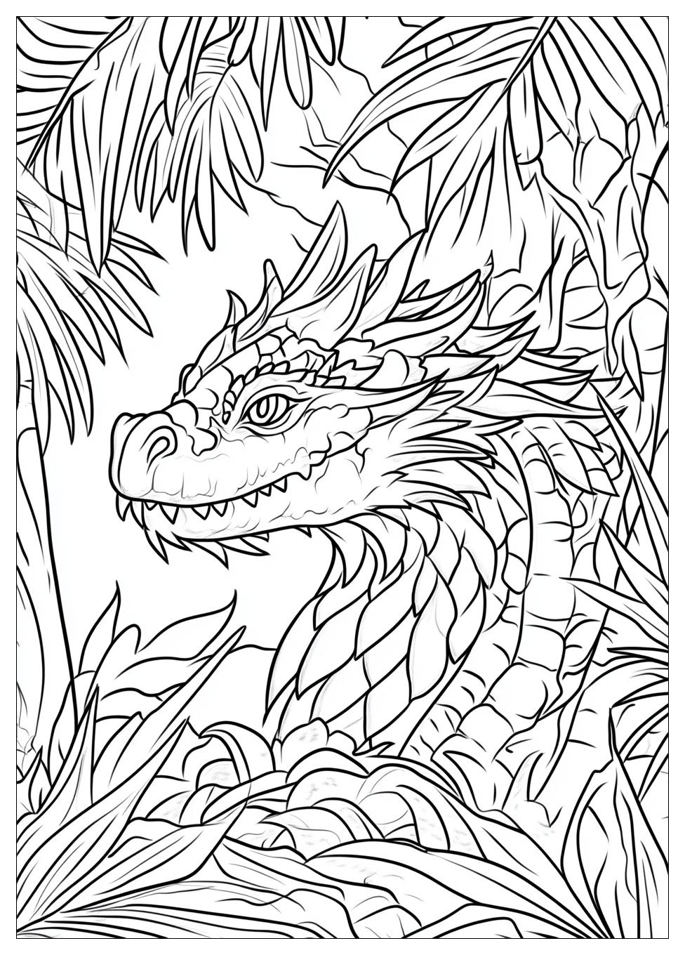Drache Kokosnuss Ausmalbilder 22