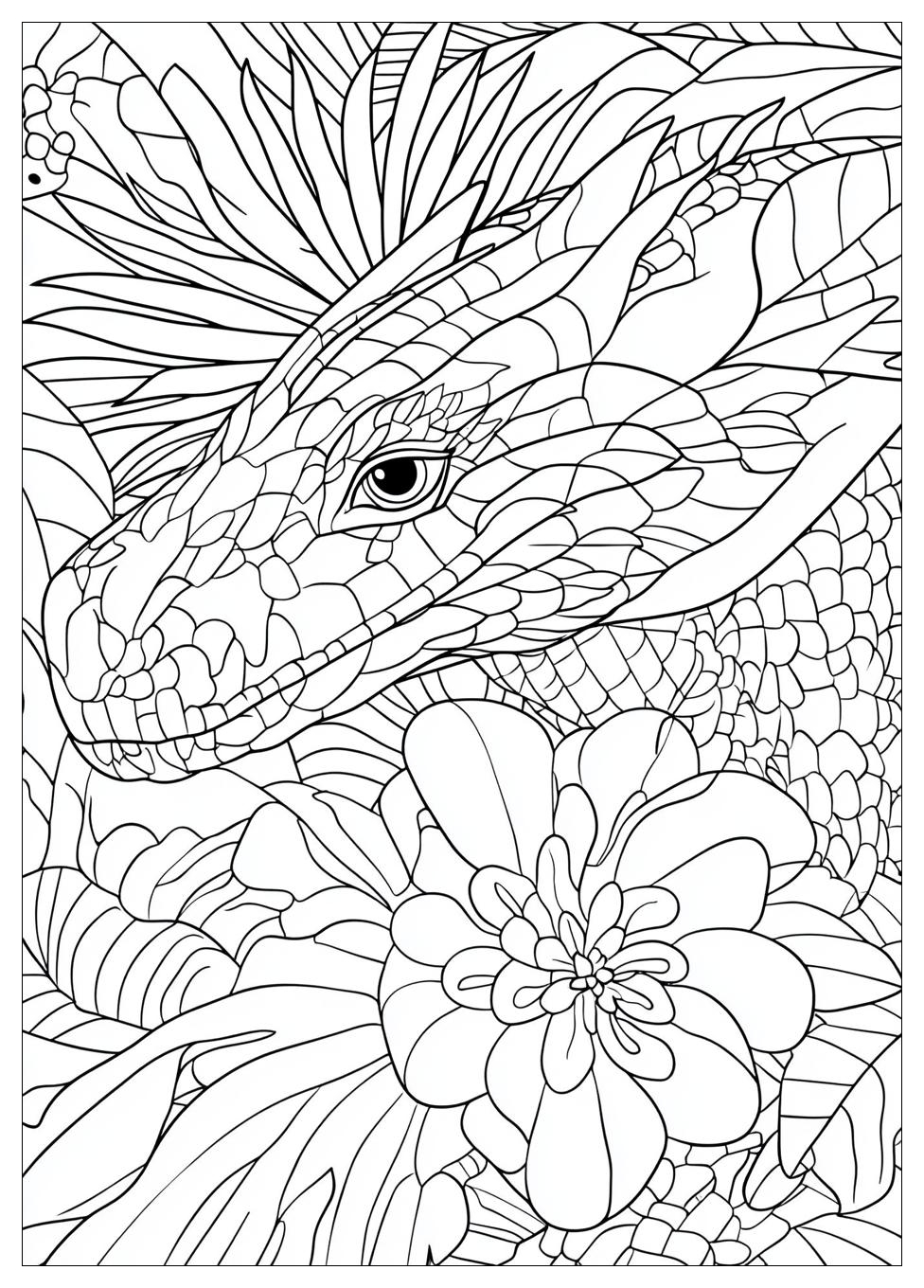 Drache Kokosnuss Ausmalbilder 23