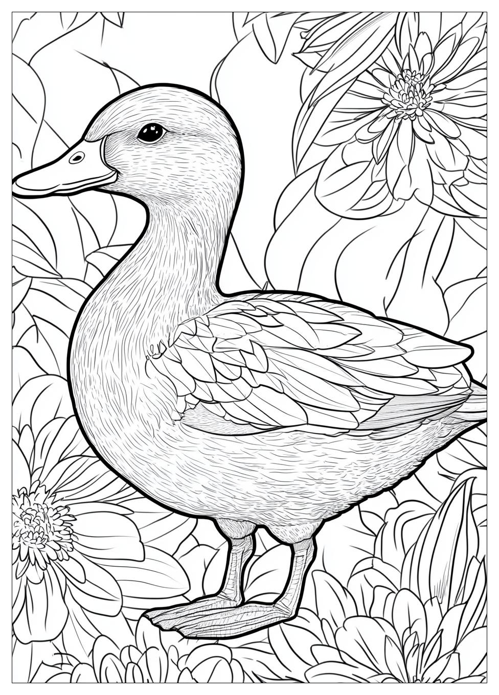 Ente Ausmalbilder 11