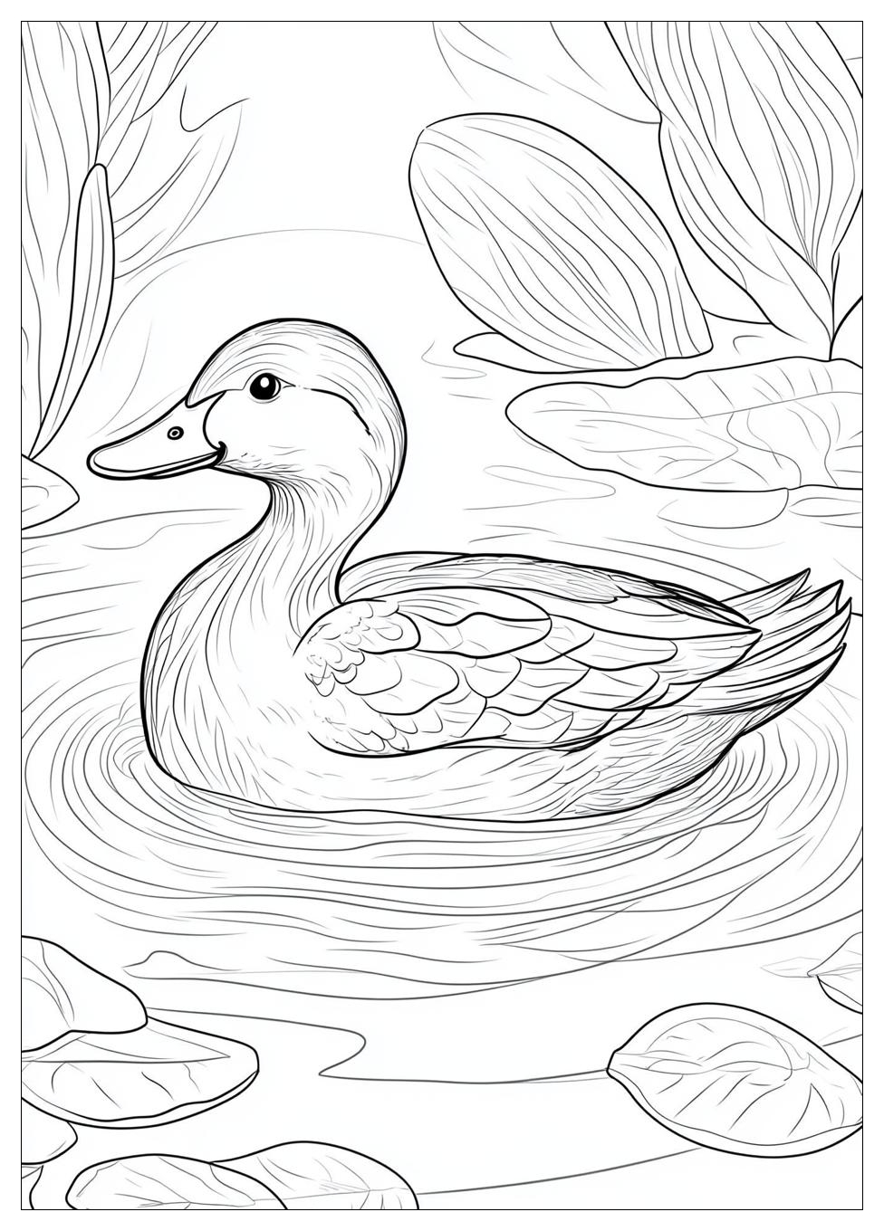 Ente Ausmalbilder 14