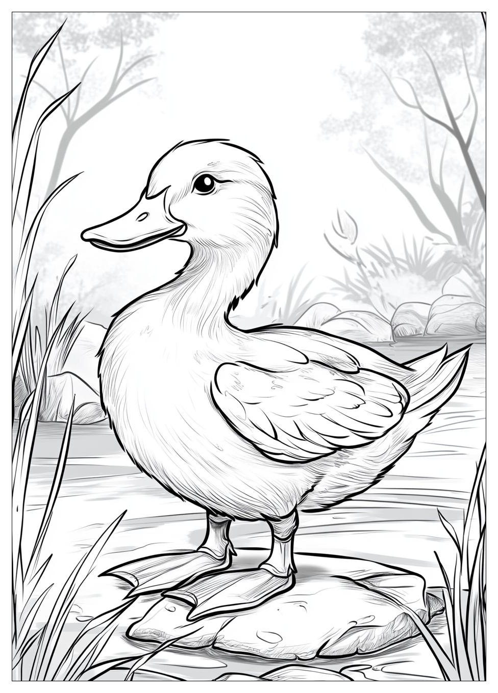 Ente Ausmalbilder 16