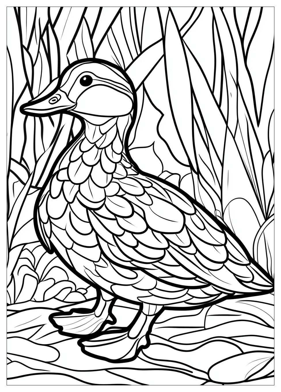 Ente Ausmalbilder 17