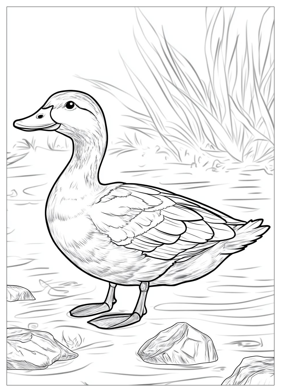 Ente Ausmalbilder 18