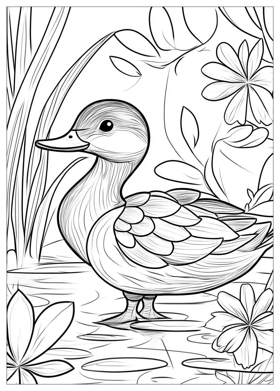 Ente Ausmalbilder 19