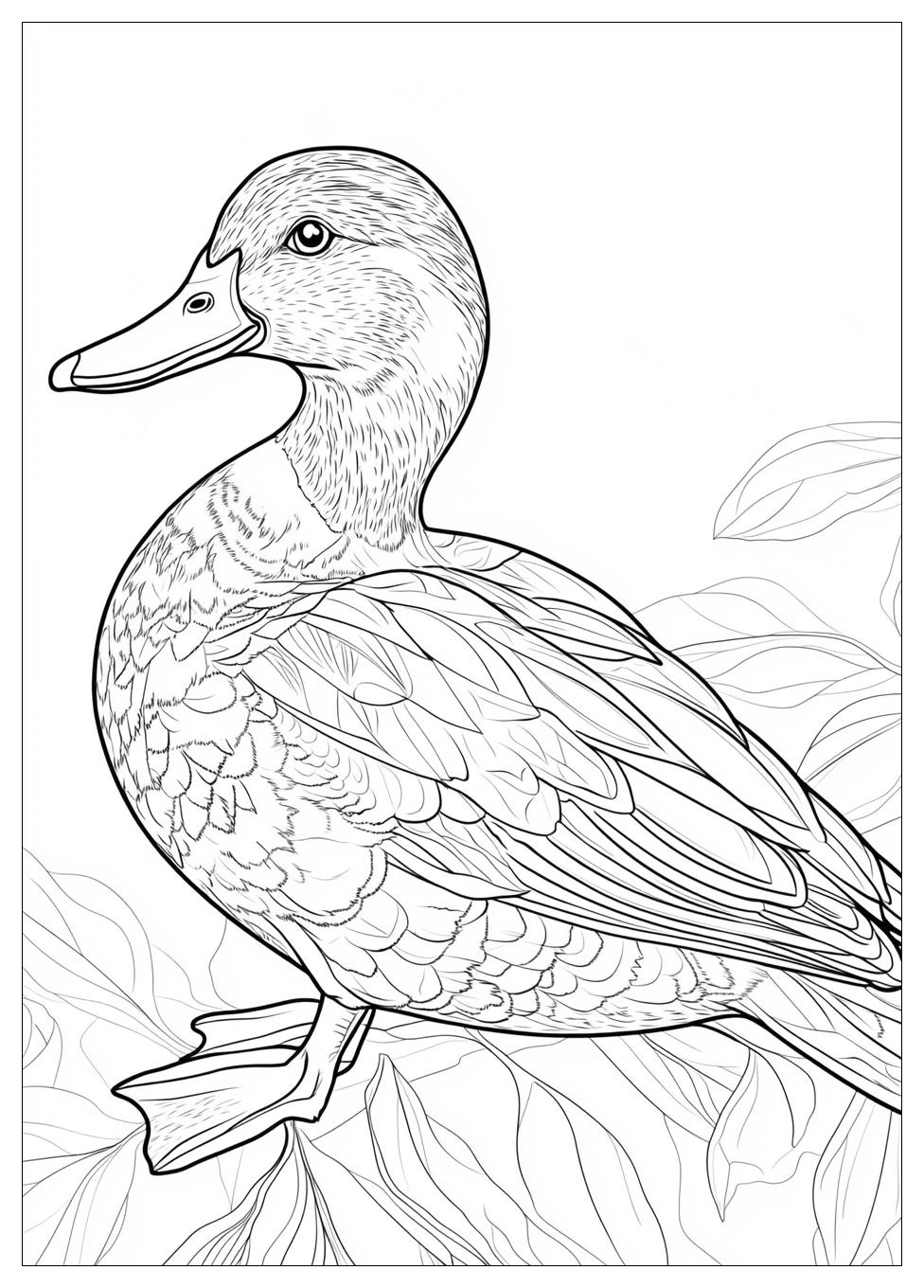 Ente Ausmalbilder 21