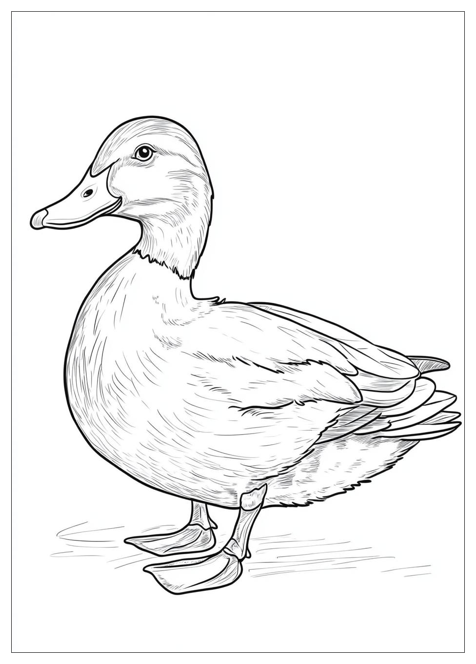 Ente Ausmalbilder 22