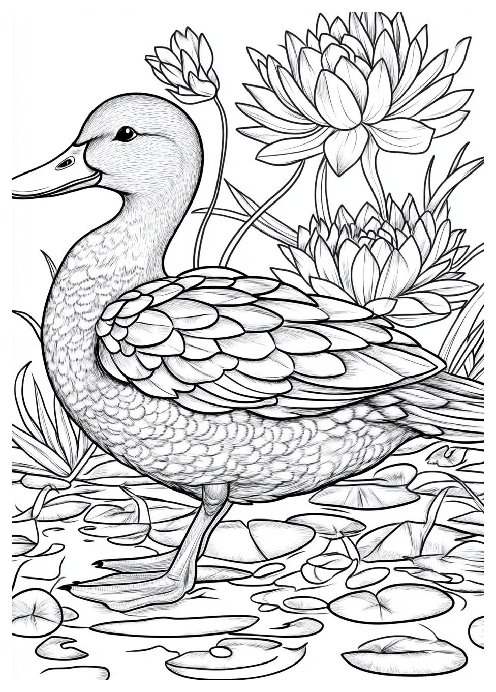 Ente Ausmalbilder 23