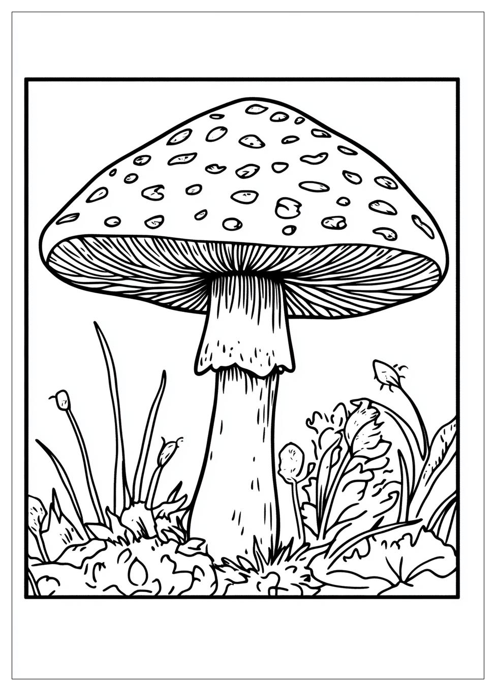 Fliegenpilz Ausmalbilder 1