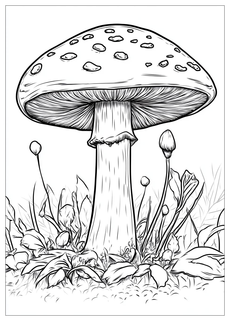 Fliegenpilz Ausmalbilder 10