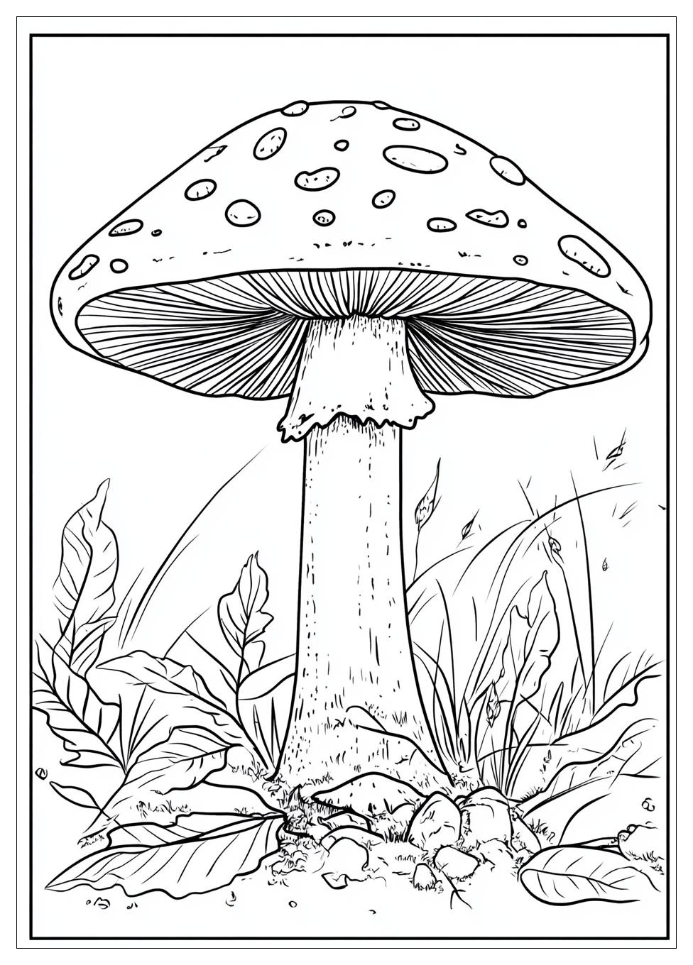 Fliegenpilz Ausmalbilder 12