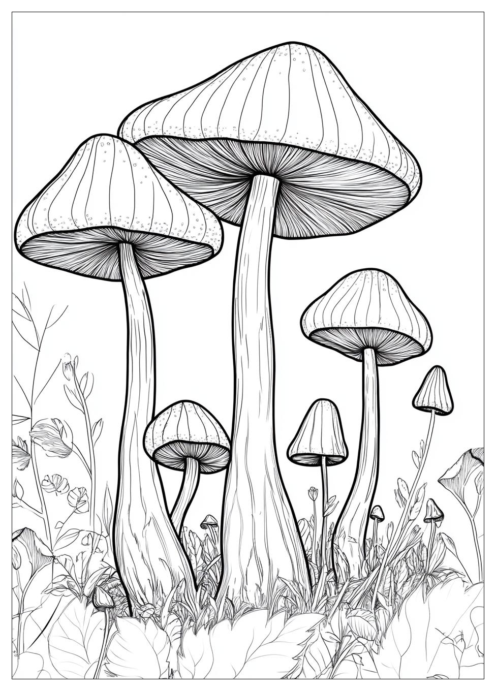 Fliegenpilz Ausmalbilder 13