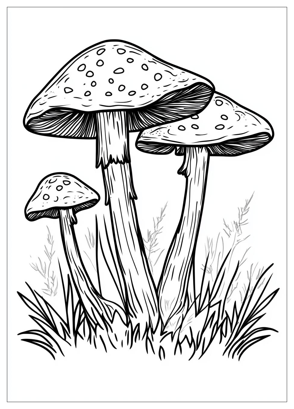 Fliegenpilz Ausmalbilder 16