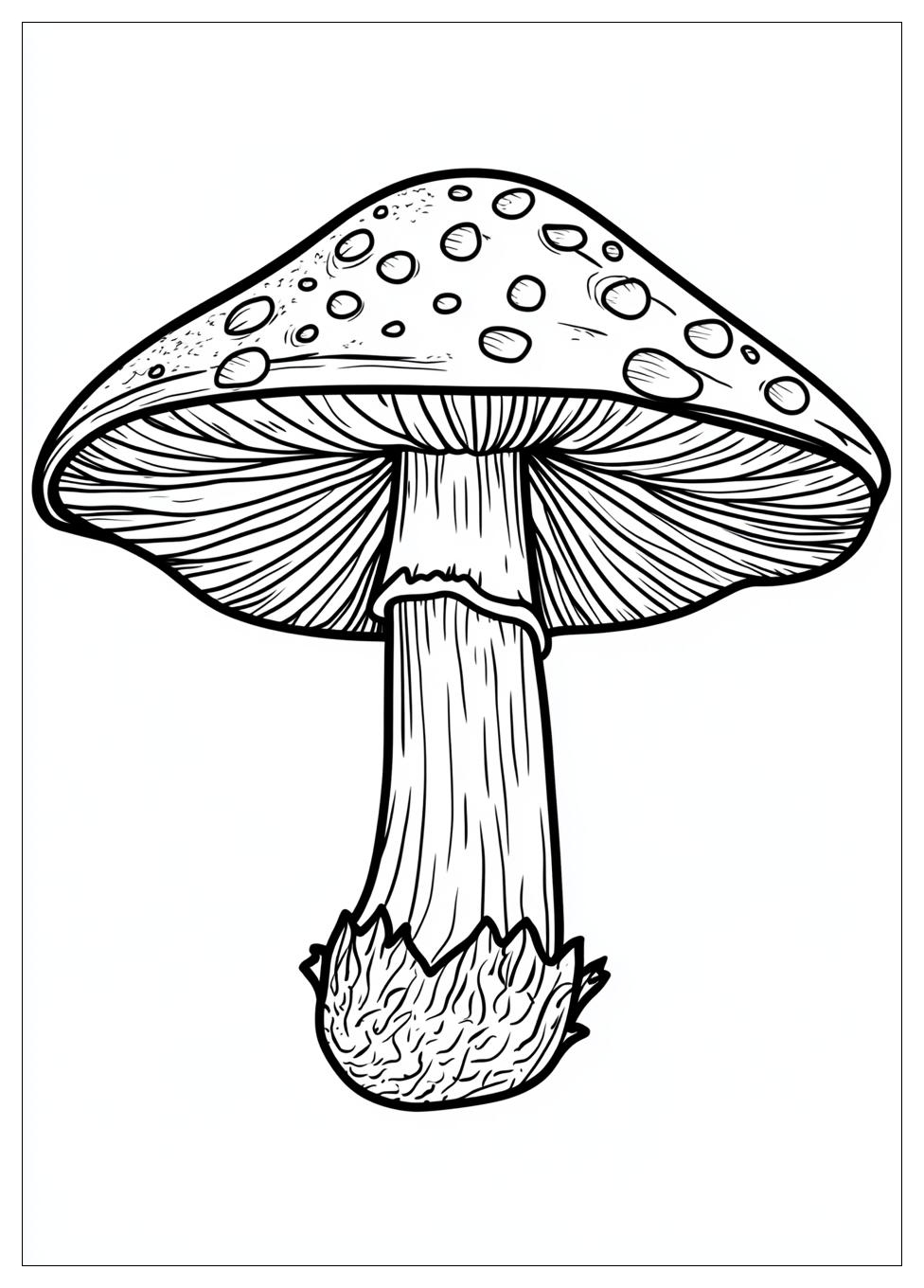 Fliegenpilz Ausmalbilder 18