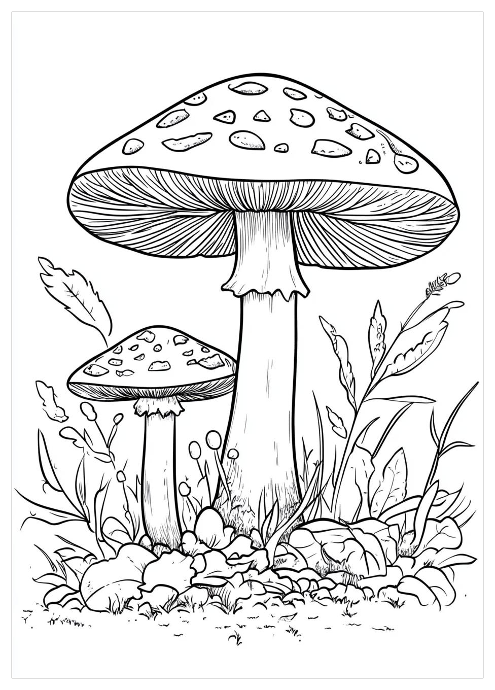 Fliegenpilz Ausmalbilder 22