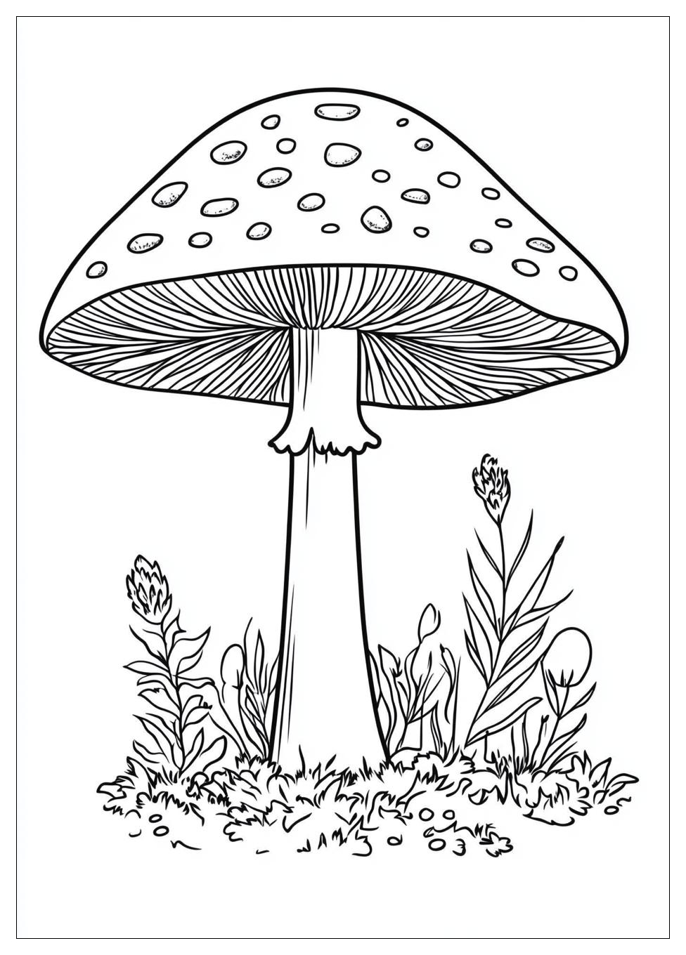 Fliegenpilz Ausmalbilder 24