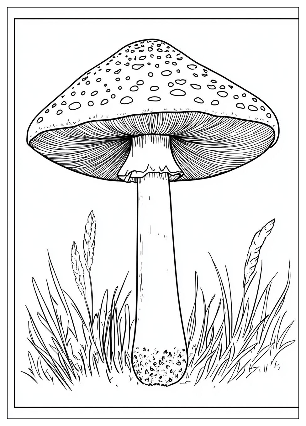 Fliegenpilz Ausmalbilder 4