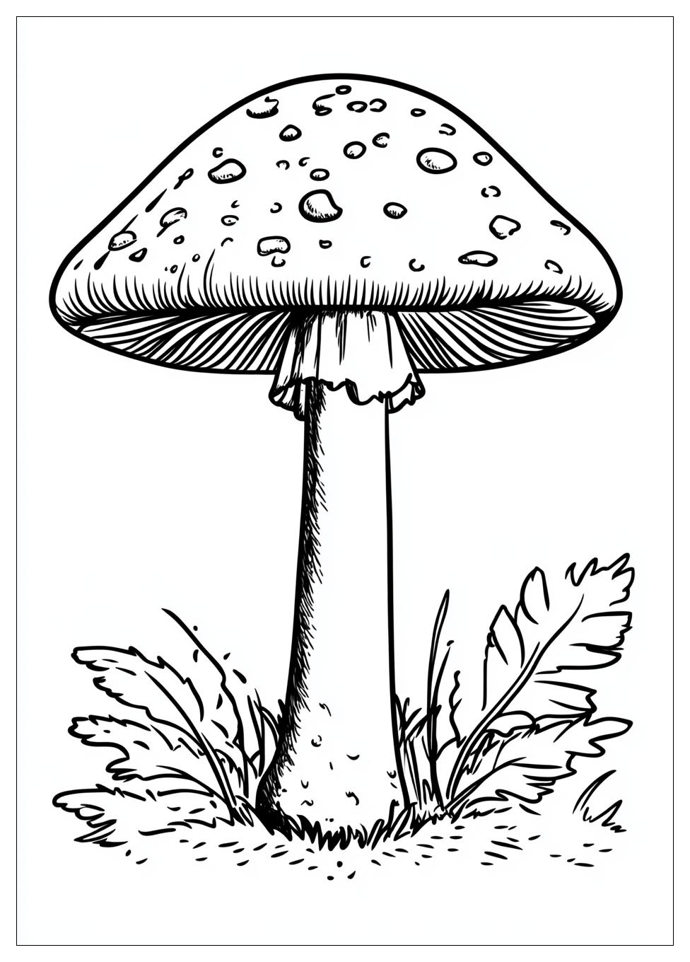 Fliegenpilz Ausmalbilder 7