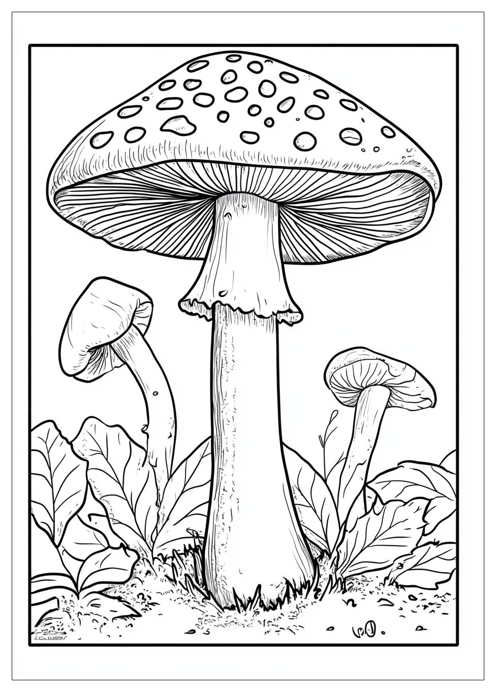 Fliegenpilz Ausmalbilder 8
