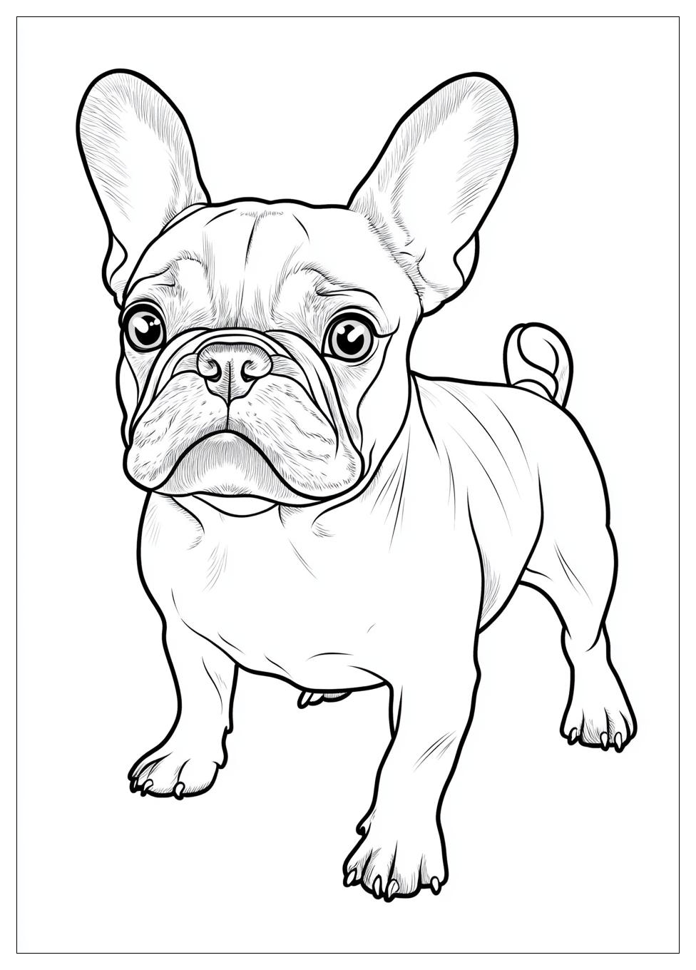 Französische Bulldogge Ausmalbilder 13