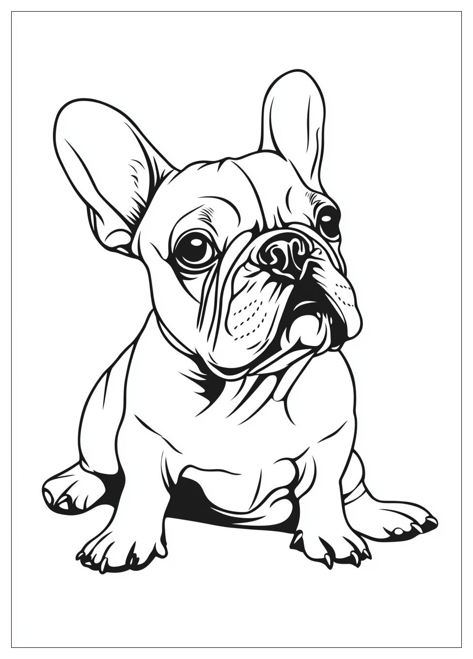 Französische Bulldogge Ausmalbilder 16