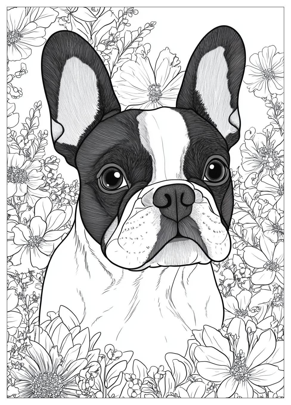 Französische Bulldogge Ausmalbilder 21