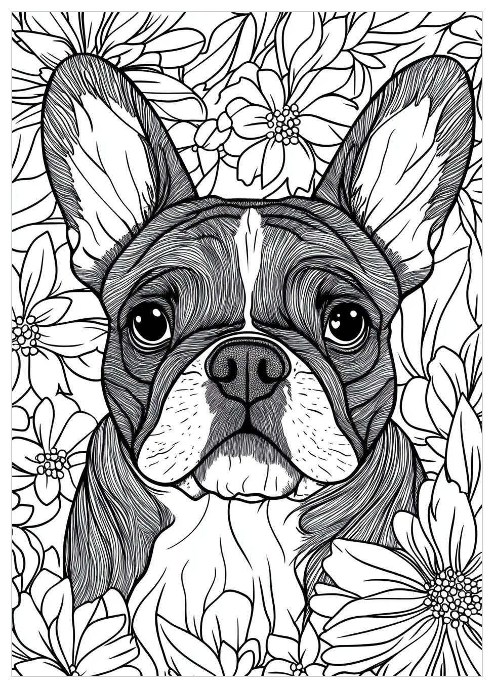 Französische Bulldogge Ausmalbilder 23
