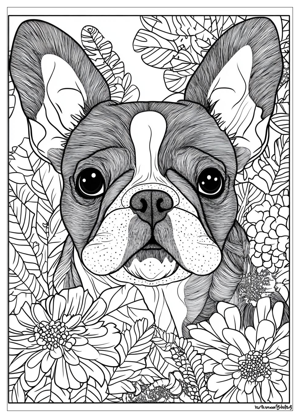 Französische Bulldogge Ausmalbilder 8