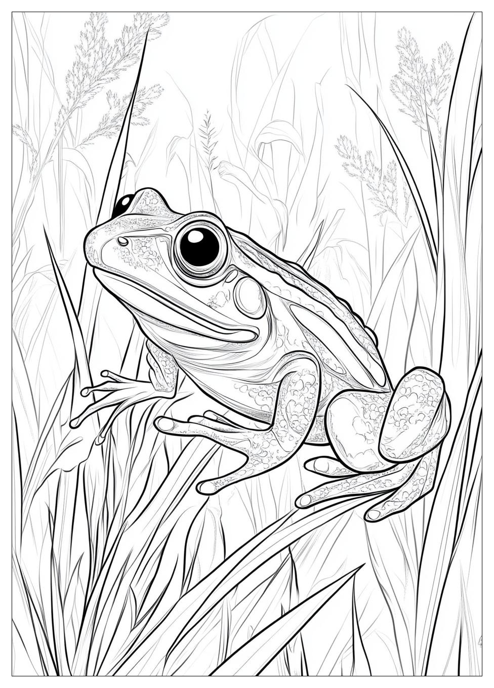 Froschkönig Ausmalbilder 7