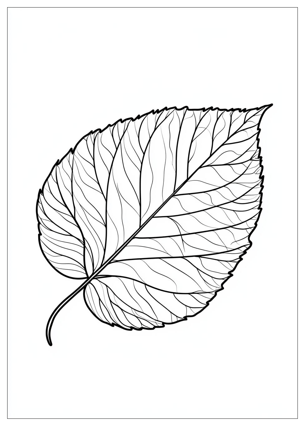 Herbstblatt Ausmalbilder 22