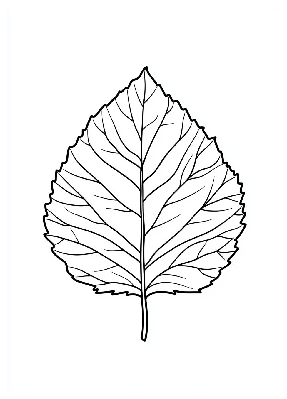 Herbstblätter Ausmalbilder 1