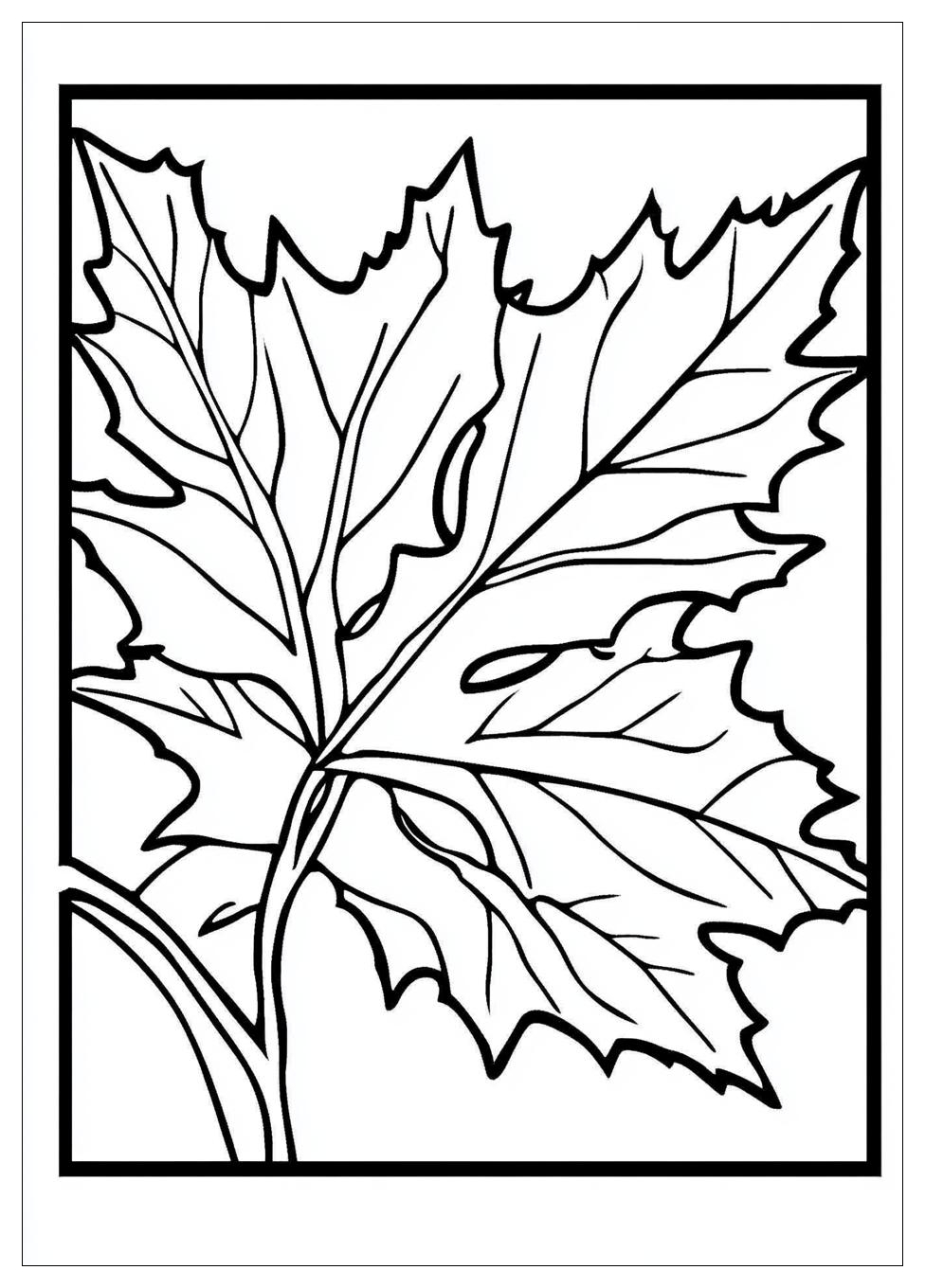 Herbstblätter Ausmalbilder 13