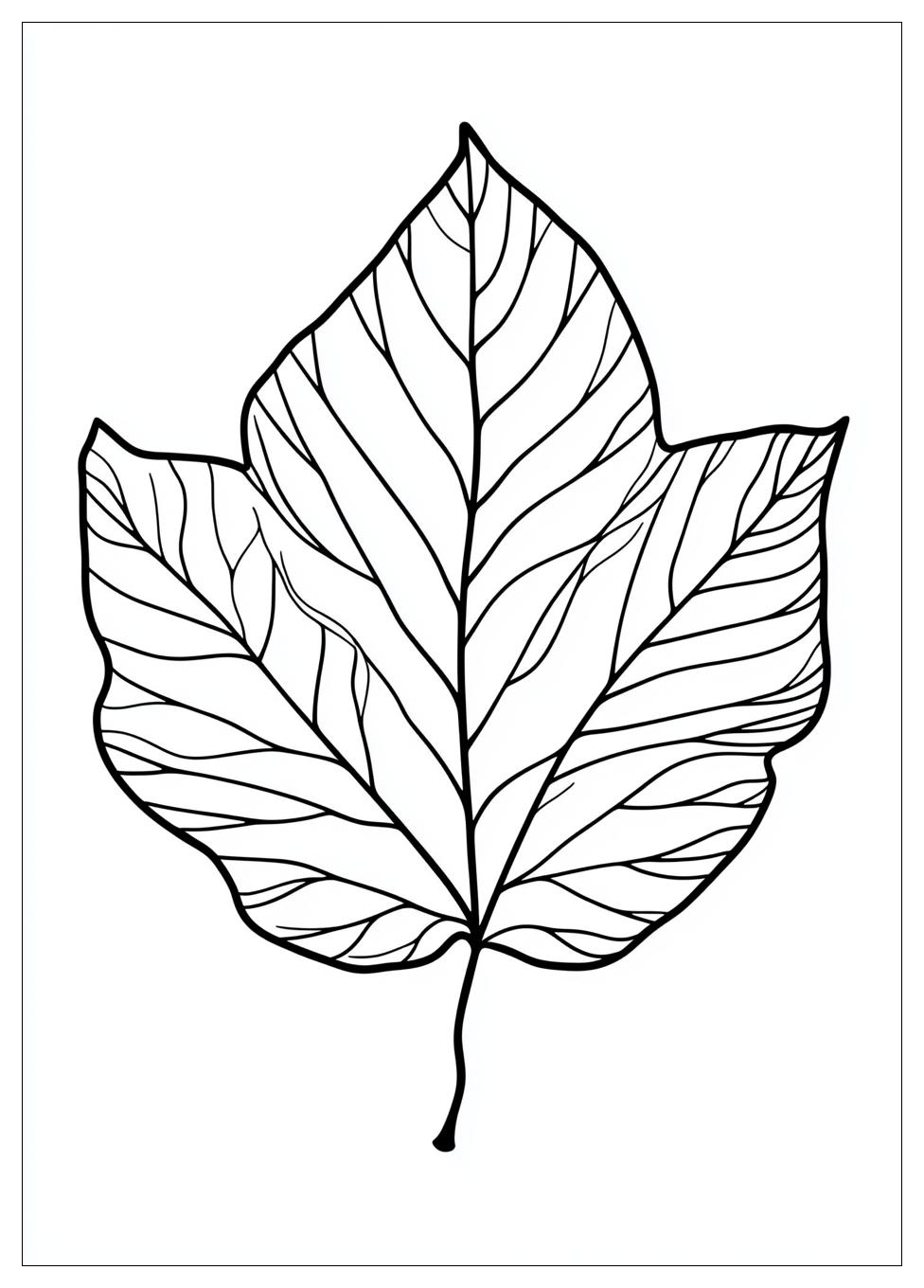 Herbstblätter Ausmalbilder 15
