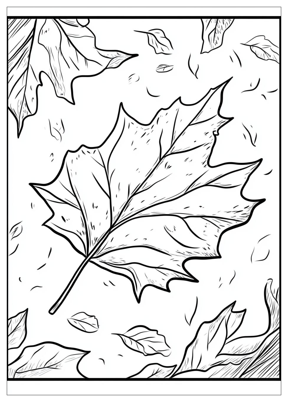 Herbstblätter Ausmalbilder 16