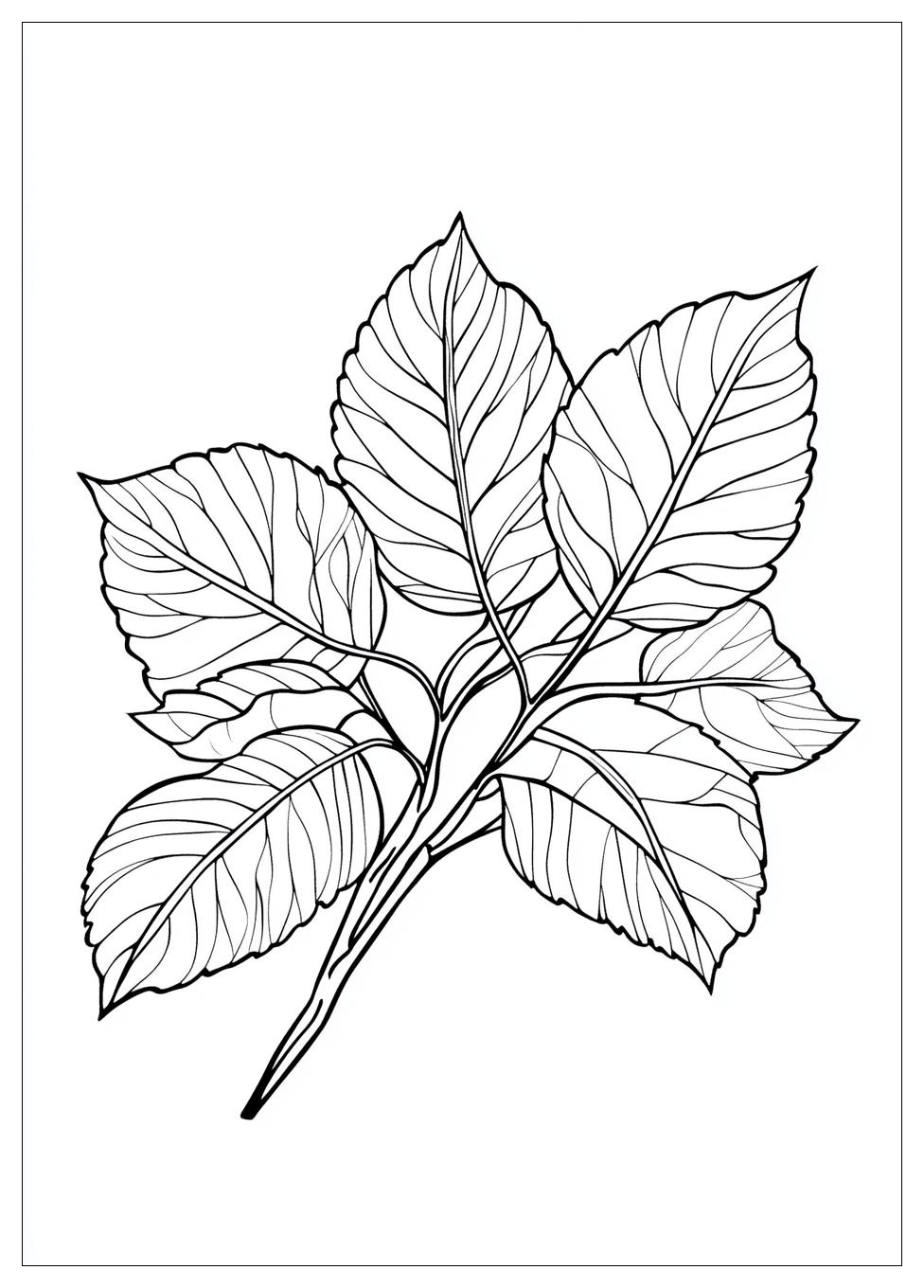 Herbstblätter Ausmalbilder 22