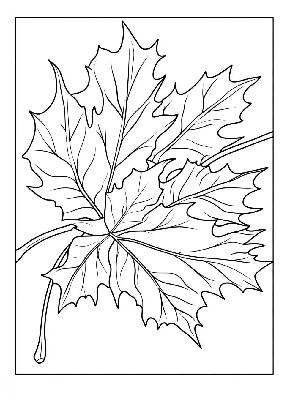 Herbstblätter Ausmalbilder 23