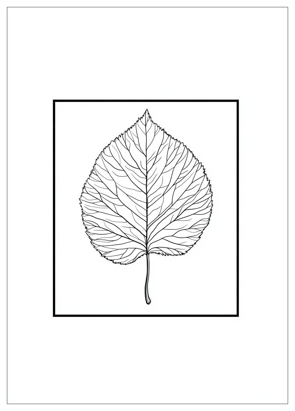 Herbstblätter Ausmalbilder 8