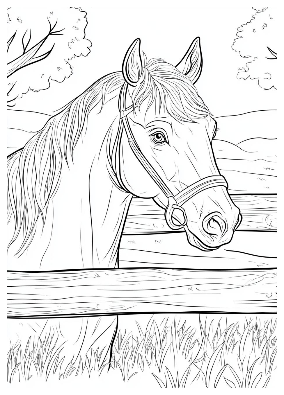 Horse Club Ausmalbilder 11