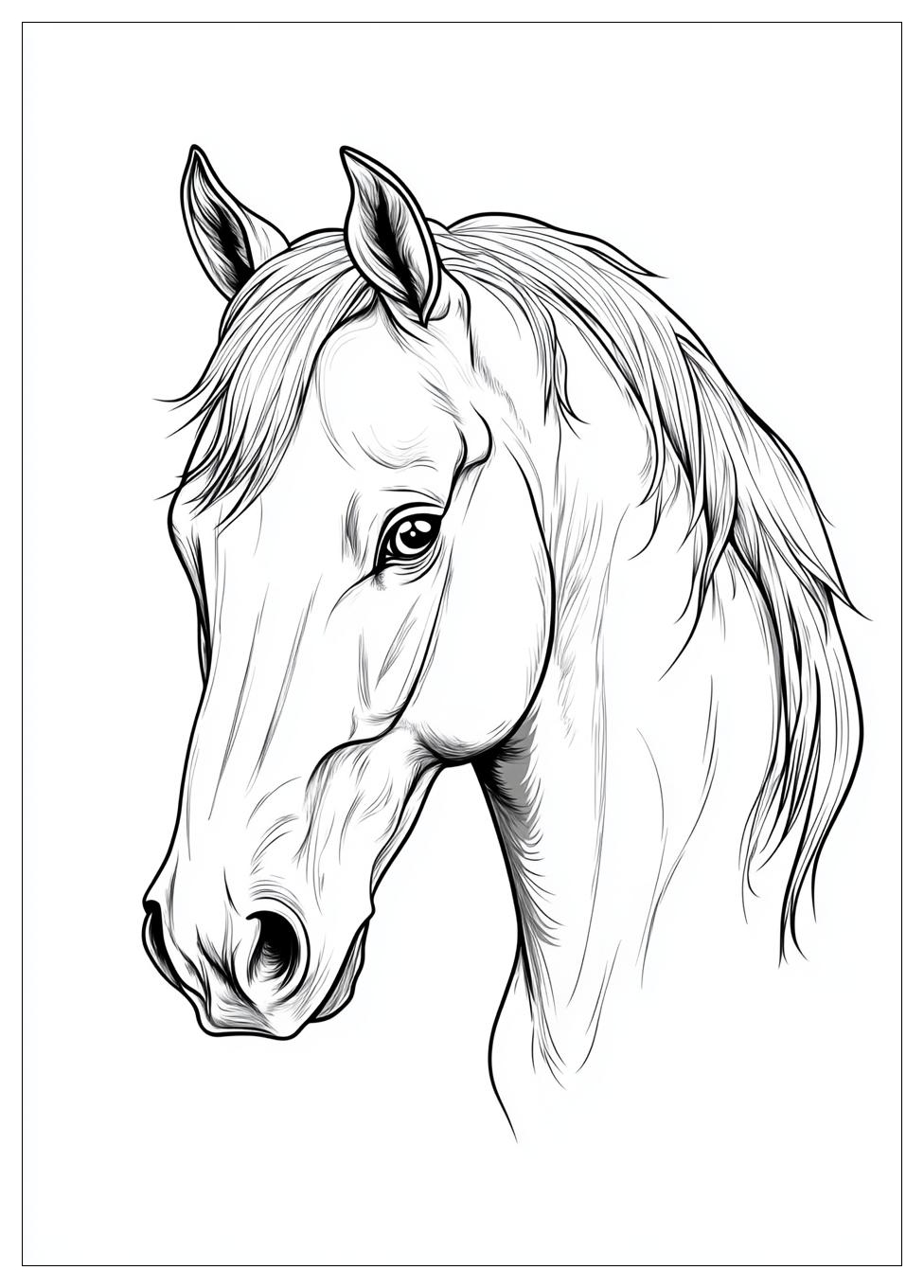 Horse Club Ausmalbilder 15