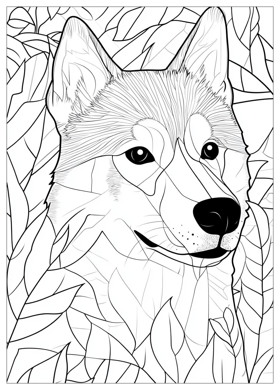 Husky Ausmalbilder 1