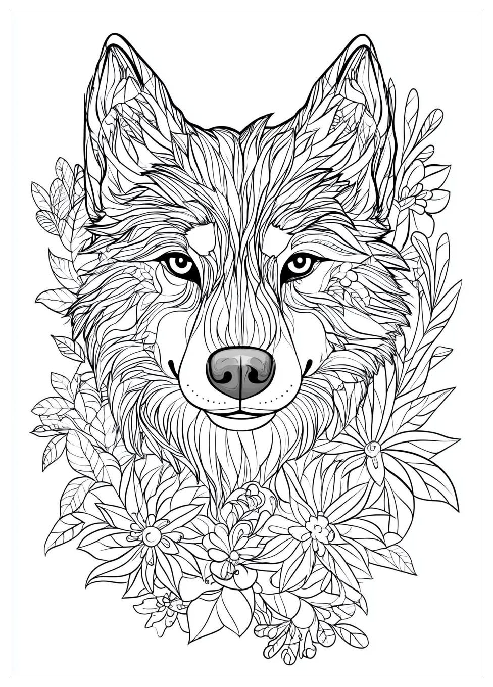 Husky Ausmalbilder 10